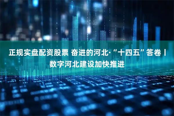 正规实盘配资股票 奋进的河北·“十四五”答卷丨数字河北建设加快推进
