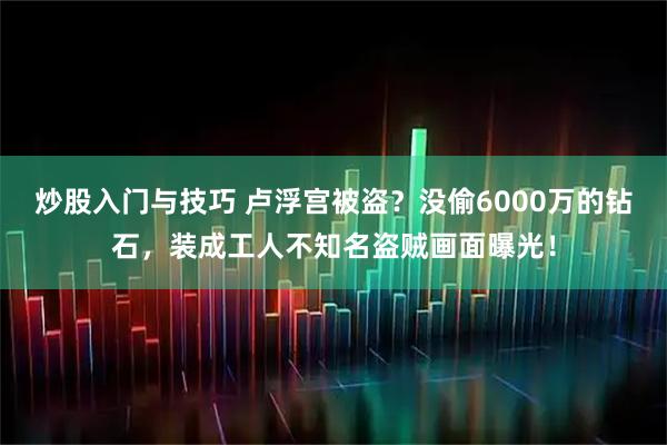 炒股入门与技巧 卢浮宫被盗？没偷6000万的钻石，装成工人不知名盗贼画面曝光！